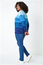 Blue Curve Ombre Stripe Knit Jumper, Image 3 of 5