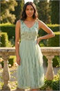 Mint Premium Beaded Frill Dress, Image 2 of 4