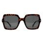 Brown Square Havana Grey Polarized PLD 4165/S/X, Image 1 of 3