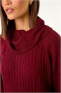 Wine Roll Neck Knitted Jumper Dress, Image 5 of 5
