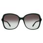 Green Calvin Klein Green Butterfly Milky Emerald Grey Gradient CK19561S, Image 1 of 3