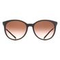 Brown Cat Eye Shiny Tundra Brown Gradient AX4140S, Image 1 of 3