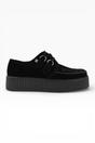 Black TUK Footwear Black Viva High Creeper Goth Shoes - AV7757, Image 1 of 7