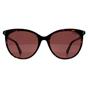 Brown Cat Eye Havana Violet Polarized PLD 6231/S, Image 1 of 3