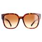  Square Red Havana Brown Gradient VA4111 Sunglasses, Image 1 of 4