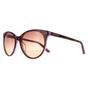 Brown Round Tortoise Milky Purple Brown CK18509S, Image 2 of 4