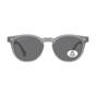Grey Montana Grey Round Shiny Tortoise Brown Polarized MP191, Image 1 of 3