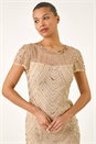 Natural  Sequin Sheer Shift Dress, Image 4 of 5