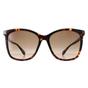 Brown Butterfly Havana Brown Gradient MJ 1106/S, Image 1 of 4