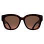 Brown Butterfly Havana Brown GG1550SK, Image 1 of 4