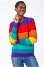 Multi  Stripe Print Stretch Knit Jumper, Image 4 of 5