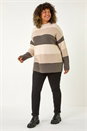 Natural  Curve Colour Block Stripe Knit Jumper, Image 2 of 7
