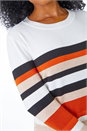 Rust Petite Stripe Round Neck Jumper, Image 5 of 5