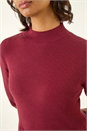 Burgundy Ribbed Knit High Neck Midi Dress, Image 5 of 5