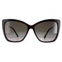 Brown Jimmy Choo Brown Cat Eye Dark Havana Brown Gradient Seba/S, Image 1 of 4
