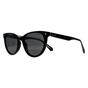 Black Round Black Grey Polarized PLD 4111/S/X, Image 2 of 3