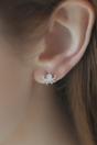 Silver Mia Gioielli Silver Sterling Silver Octopus Stud Earrings, Image 2 of 3