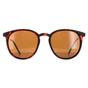 Brown Round Havana Rubbertouch Brown Polarized MP33 Sunglasses, Image 1 of 4