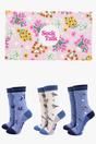 Multi Garden Birds Bamboo Socks Gift Set, Image 1 of 4
