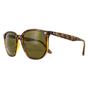 Brown Round Havana Brown B-15 RB4306 Sunglasses, Image 2 of 6