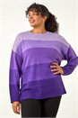 Purple Curve Ombre Stripe Knit Jumper, Image 4 of 5