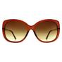 Brown Calvin Klein Brown Butterfly Transparent Brown Brown Gradient CK22548S, Image 1 of 3