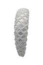 White White Pearl Lattice Style Headband, Image 2 of 2