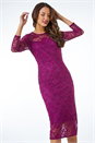 Wine Stretch Lace Overlay Midi Dress, Image 1 of 5
