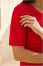 Red Petite Pointelle Knit Top, Image 4 of 4