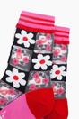 Pink Daisy Checkerboard Combed Cotton Sheer Pop Socks in Pink, Image 2 of 4