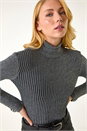 Grey Dusk Stripe Turtle Neck Knit Jumper, Image 1 of 5