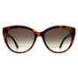 Brown Cat Eye Havana Black Brown Gradient CK22520S, Image 1 of 3