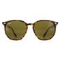Brown Round Havana Brown B-15 RB4306 Sunglasses, Image 1 of 6
