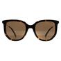 Brown Hexagonal Havana Bronze Polarized PLD 4185/S/X, Image 1 of 3