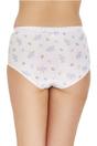 Multi Camille Lingerie Multi 3 Pack Cotton Maxi Briefs, Image 2 of 5