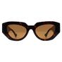 Brown Cat Eye Shiny Dark Havana Brown GG1421S, Image 1 of 4