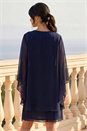 Navy  Petite 2 in 1 Neck Trim Shift Dress, Image 2 of 4