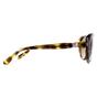 Brown Ted Baker Brown Oval Havana Brown Gradient TB1315 Cougar, Image 4 of 4
