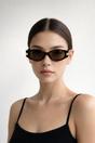 Brown SVNX Brown Oval Metal Detail Sunglasses In Tortoiseshell, Image 1 of 4