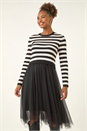 Black Stripe Print Mesh Midi Dress, Image 4 of 5