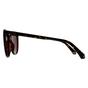 Brown Cat Eye Havana Violet Polarized PLD 6231/S, Image 3 of 3