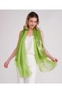 Pale Green Chrystal - Embellished Occasion Scarf - Light Green, Image 1 of 1