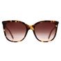 Brown Calvin Klein Brown Round Dark Tortoise Dark Brown Gradient CK23500S, Image 1 of 3