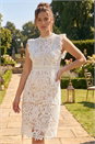 White Petite Frill Lace Detail Dress , Image 2 of 4
