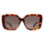 Brown Ted Baker Brown Square Tortoise Grey Green TB1732 Heather, Image 1 of 4