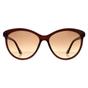 Brown Calvin Klein Brown Cat Eye Crystal Brown Brown Gradient CK19534S, Image 1 of 4