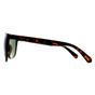 Brown Square Shiny Havana Green CK22557S, Image 3 of 3