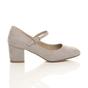 Grey AJVANI Grey Mid Block Heel Mary Jane Court Shoes, Image 2 of 6