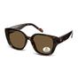 Brown Montana Brown Square Tortoise Brown Polarized MP180, Image 2 of 3