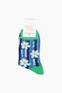 Multi Daisy Stripes Combed Cotton Sheer Pop Socks in Green, Image 4 of 4